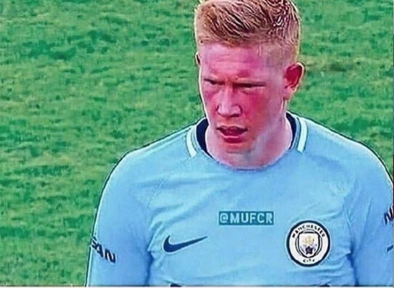 马背上的共生：马术里的优雅与默契